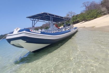 lancha-rapida-tour-avistamiento-ballenas-panama (1)
