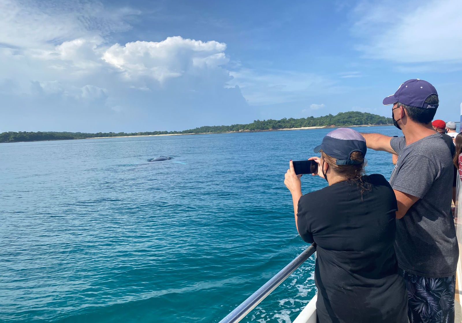 panama-whale-watching (5)